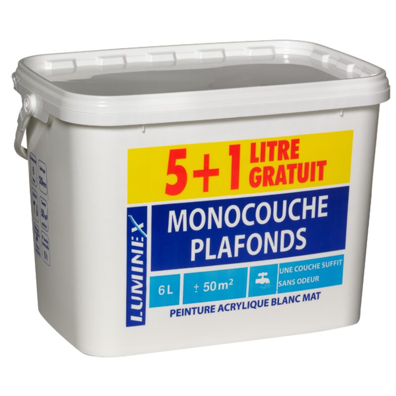 Peinture MONOCOUCHE PLAFONDS PRIX MALIN Acrylique blanc Mat 6 L