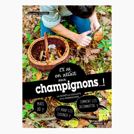 Livre voyage nature ET SI ON ALLAIT AUX CHAMPIGNONS