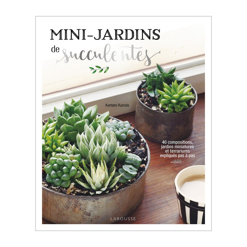 Livre voyage et nature MINI-JARDINS DE SUCCULENTES