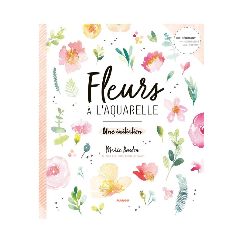 Livre arts FLEURS A L'AQUARELLE UNE INITIATION