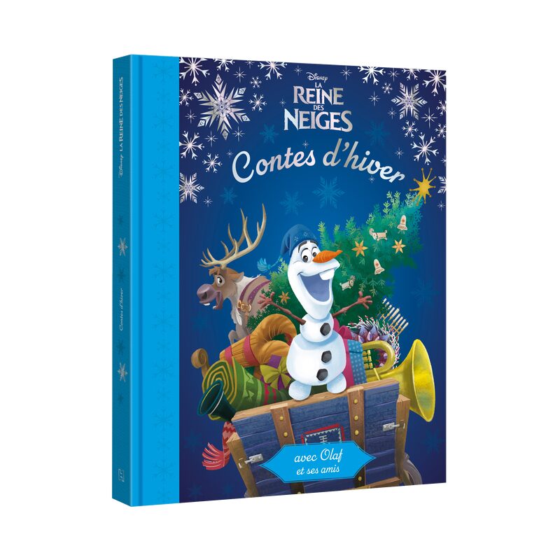 Livre enfant LA REINE DES NEIGES