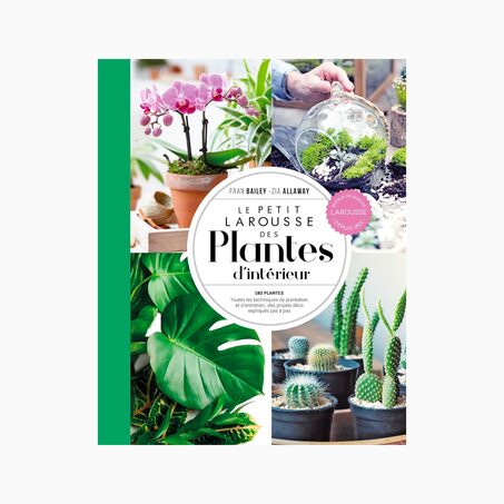 Livre voyage et nature PETIT LAROUSSE DES PLANTES D'INTÉRIEURS