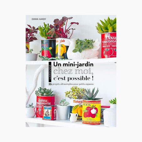 Livre voyage et nature UN MINI JARDIN CHEZ MOI, C'EST POSSIBLE !