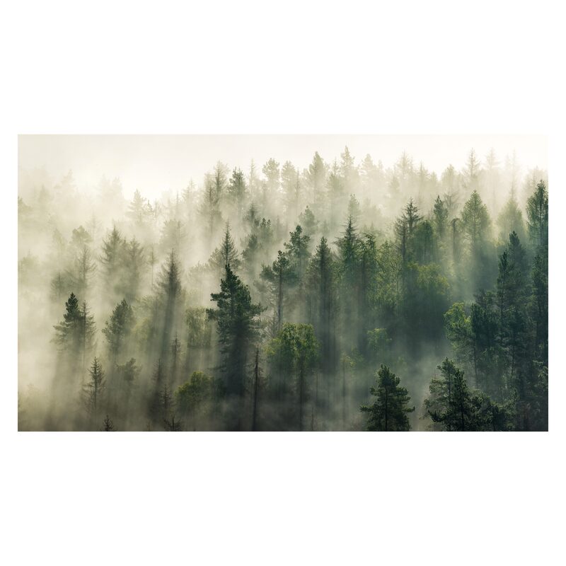 Tableau FOREST coloris vert