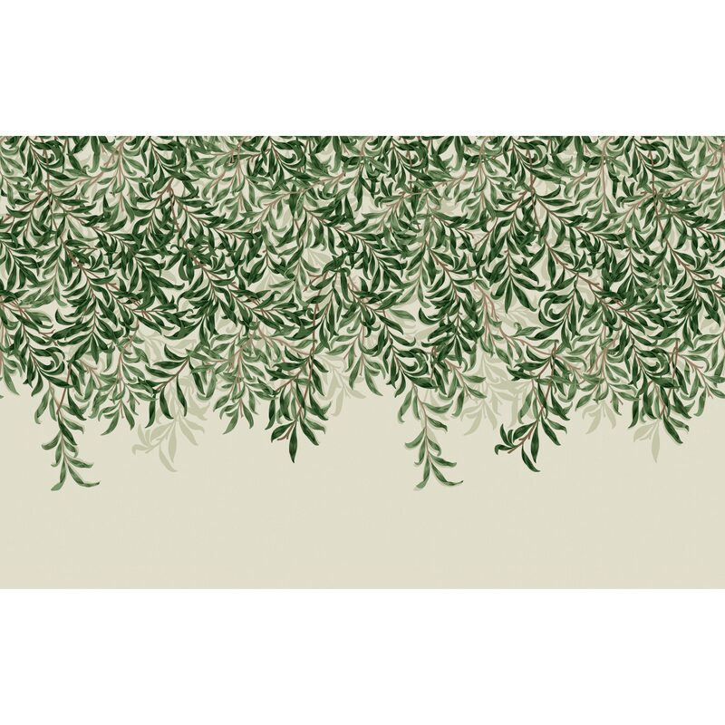 Papier peint panoramique XL WILLOW BOUGH XL 400 x 250 cm vert feuille