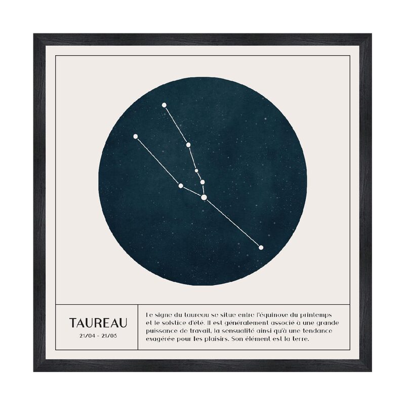 Tableau TAUREAU coloris blanc