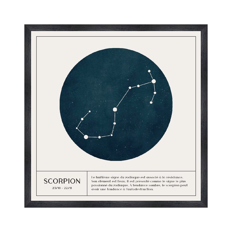 Tableau SCORPION coloris blanc