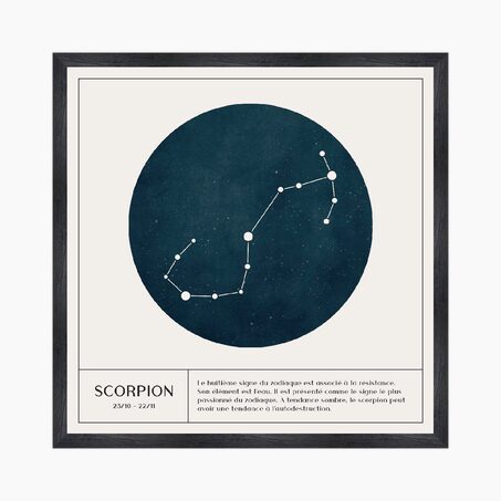 4MURS Tableau SCORPION coloris blanc