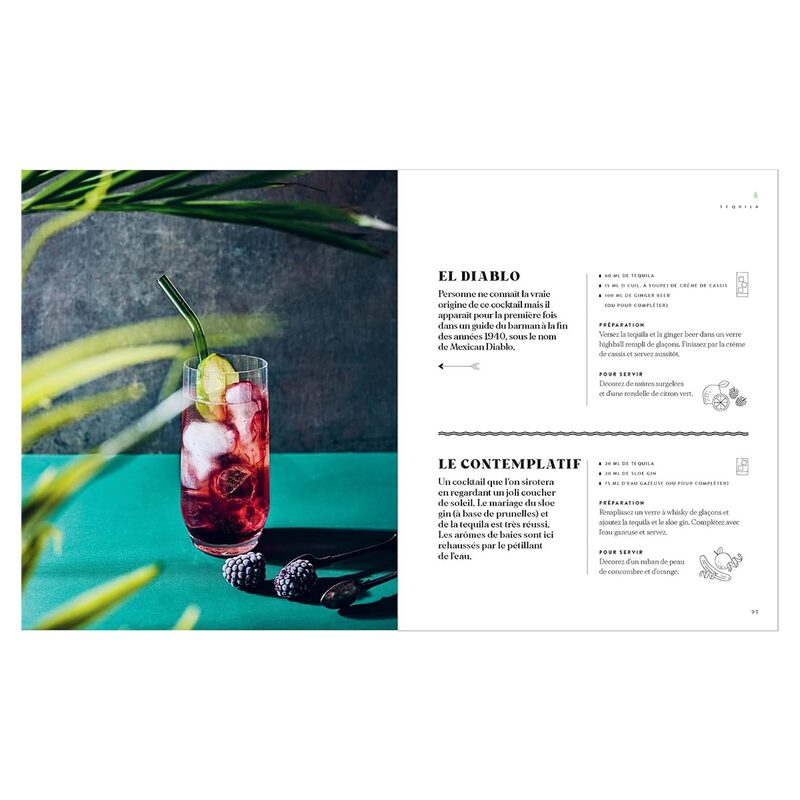 Livre COCKTAILS EN 3 INGREDIENTS