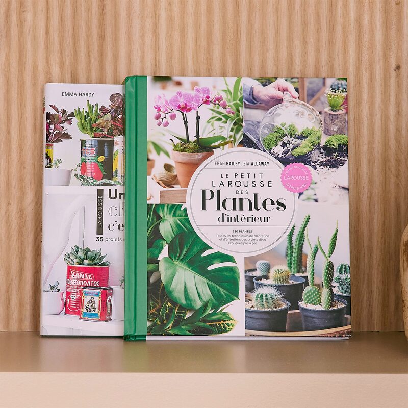 Livre voyage et nature PETIT LAROUSSE DES PLANTES D'INTÉRIEURS