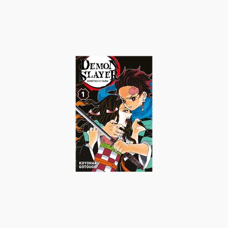 Hachette Pratique Livre DEMON SLAYER T1