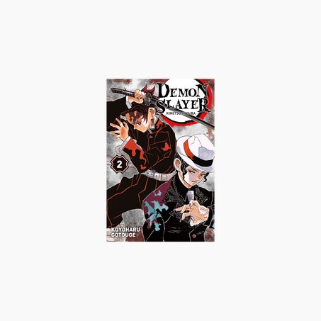 Hachette Pratique Livre univers fantasy DEMON SLAYER T2