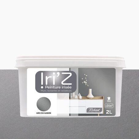 Richard Peinture IRIZ Acrylique gris du Gabon Brillant 2 L