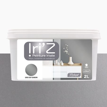 Richard Peinture IRIZ Acrylique gris du Gabon Brillant 2 L