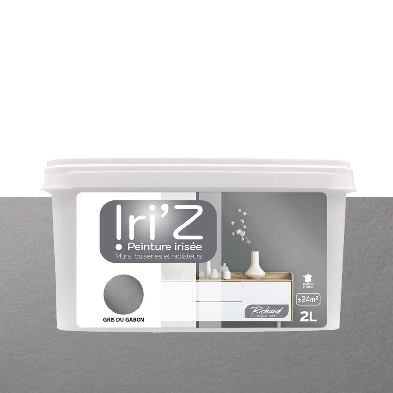 Peinture IRIZ Acrylique gris du Gabon Brillant 2 L