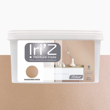 Richard Peinture IRIZ Acrylique kangourou roux Brillant 2 L