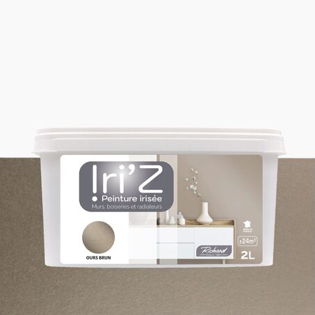 Richard Peinture IRIZ Acrylique ours brun Brillant 2 L