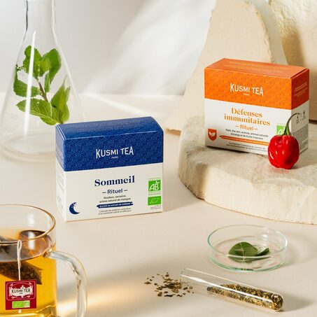 Thé en sachet RITUEL SOMMEIL BIO